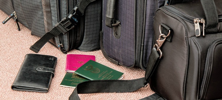 pasaporte verde
