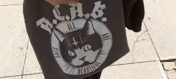 Así disfrazan ahora los insultos a la Policía: gatitos con las siglas ACAB