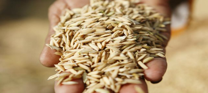 El pan blanco y el arroz pueden aumentar las posibilidades de cáncer