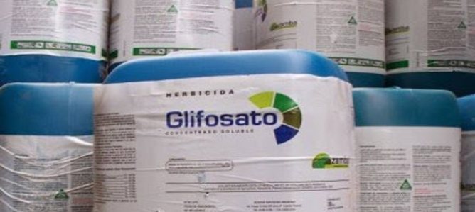 Sin acuerdo en la UE para el uso del glifosato