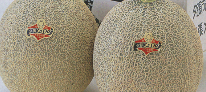 Pagan el récord de 24.500 euros por dos melones yubari