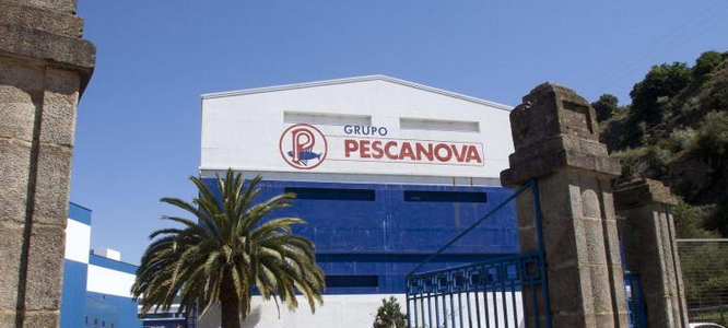 Pescanova presenta un resultado de 38.000 euros