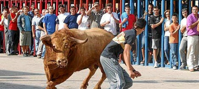 Compromís se prepara para prohibir los Toros en Valencia