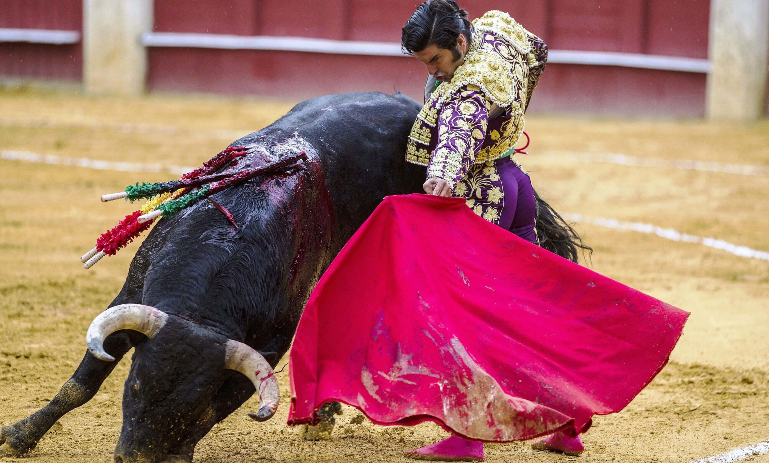 Facebook rectifica: las corridas de toros ya no son motivos de denuncia