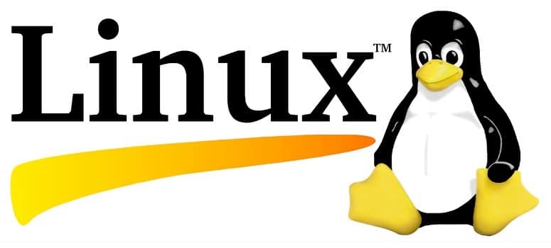 Las bots de Linux, la herramienta más eficaz para los ataques SYN-DdoS
