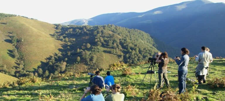 El turismo ha crecido este puente un 4%.