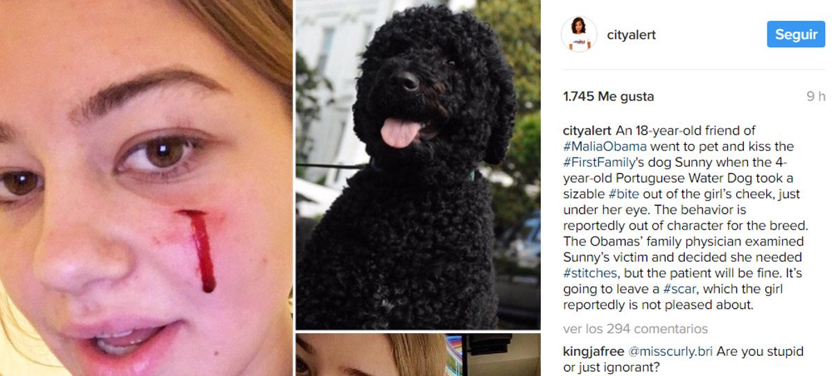 El perro de Obama ataca a una amiga de su hija mayor