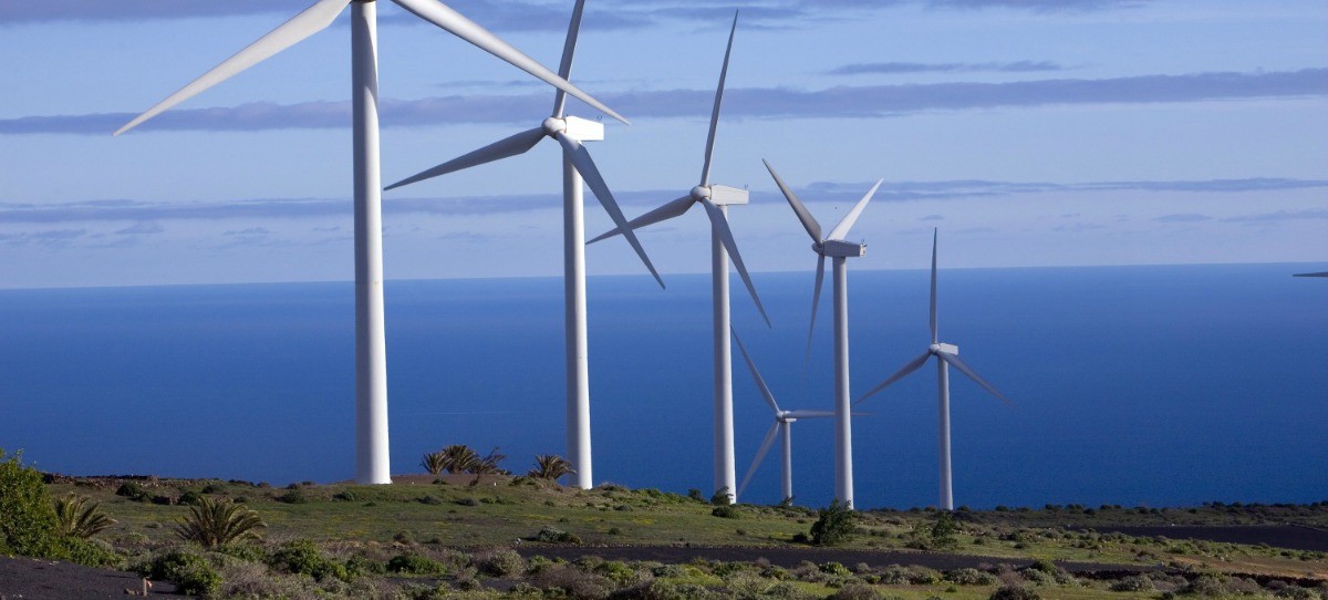 El caos en las declaraciones ambientales de la renovables ‘nos mata industrialmente’, señala la AEE