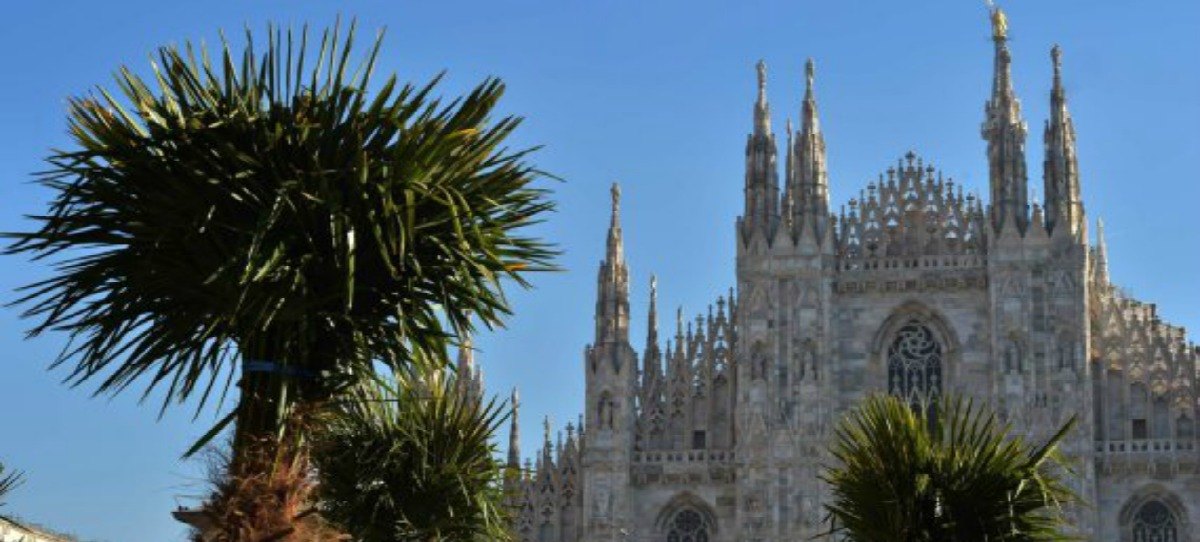 Starbucks la vuelve a liar: financia la plantación de palmeras y bananos en la Plaza del Duomo en Milán