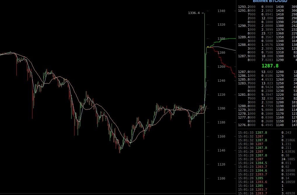 Después de su caída, Bitcoin demuestra una vez más su fortaleza y rebota cerca a los USD 50.000