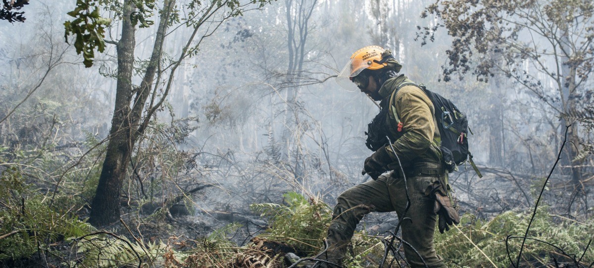 Más de 2.000 evacuados por un incendio que afecta el Espacio Natural de Doñana