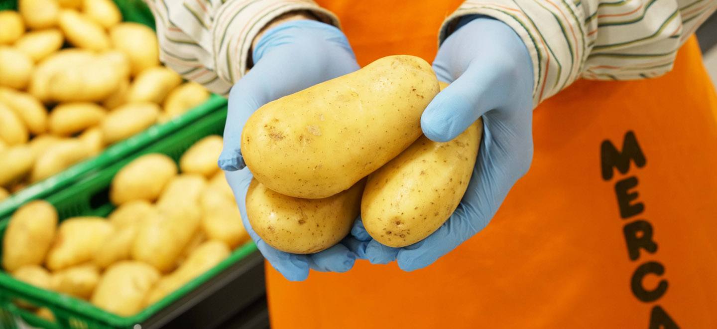 Mercadona prevé comprar 136.000 toneladas de patatas nacionales