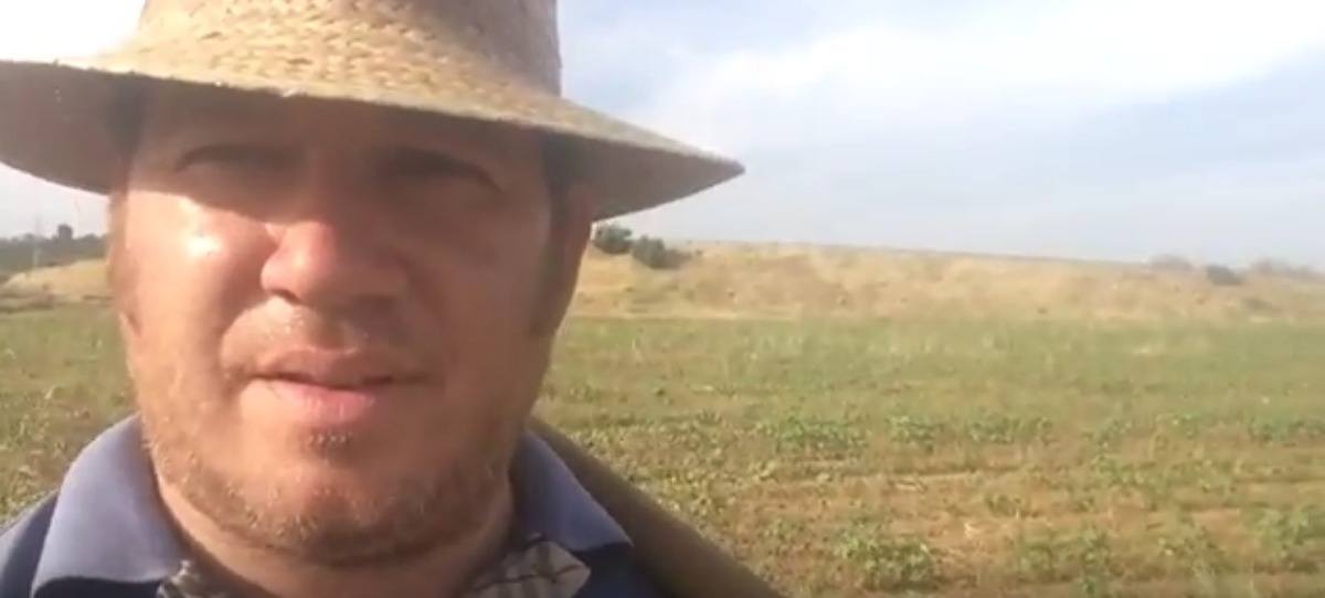 Un agricultor español tiene el remedio para acabar con el terrorismo