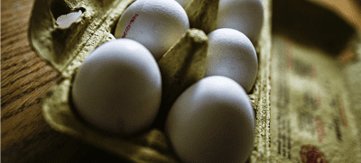 Huevos contaminados, el último escándalo alimenticio de Europa
