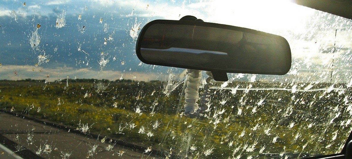 Cómo tener los cristales de tu coche relucientes en verano