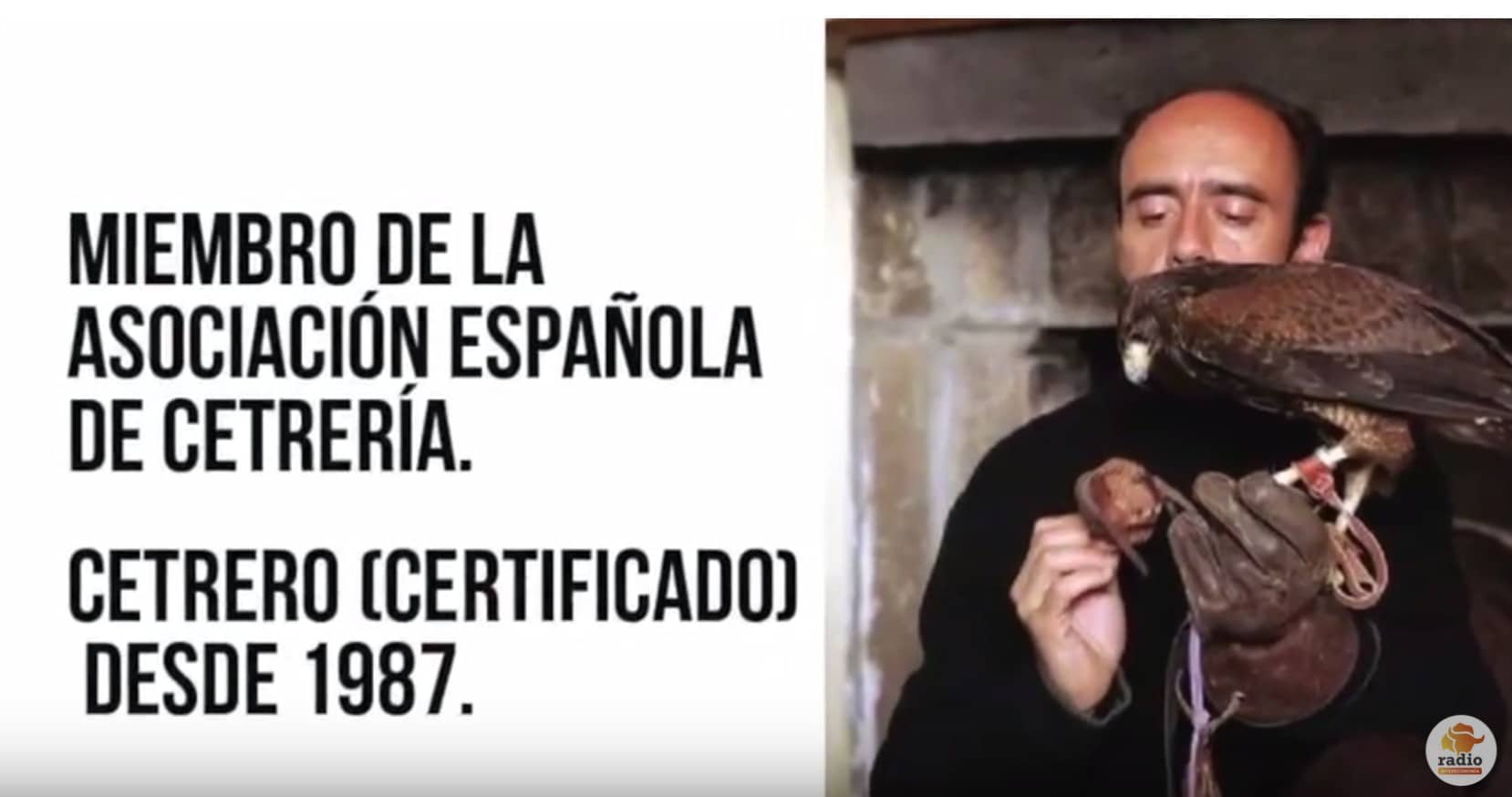 La cetrería en España: patrimonio inmaterial de la humanidad por la UNESCO