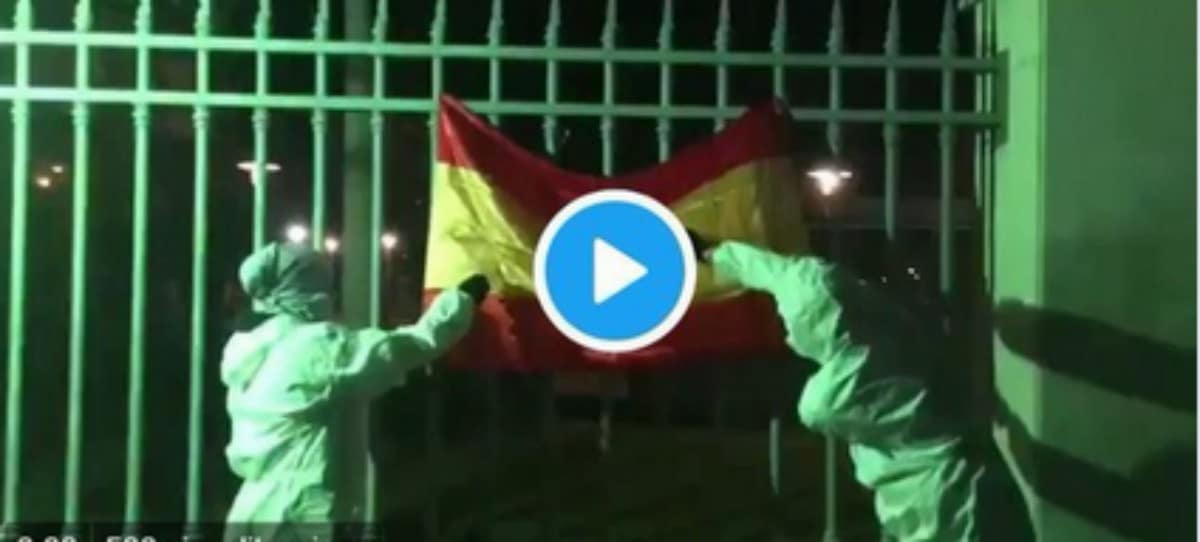 Los cachorros de la CUP queman una bandera española el día de la Diada de Mallorca