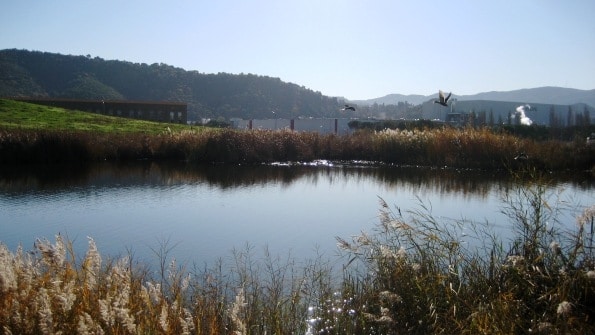 Can Fenosa: reconectando el entorno del río Besós