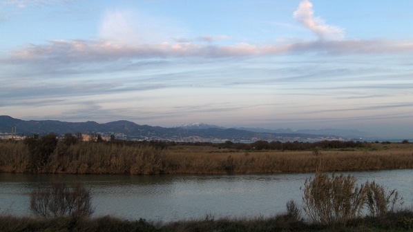650 millones de litros de agua para aumentar la biodiversidad en la desembocadura del Guadalhorce
