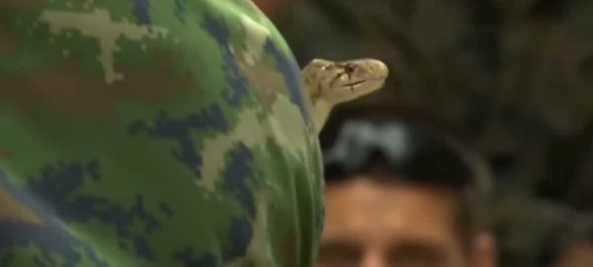 Los marines de EEUU en Tailandia matan y beben sangre de cobra