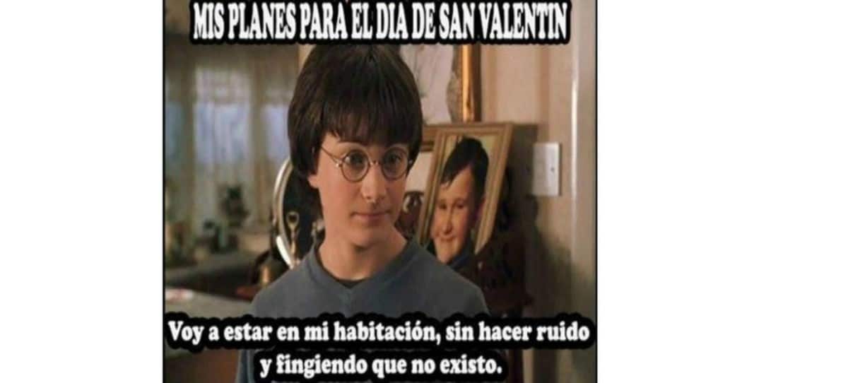 San Valentín: Los mejores memes que han dejado los solteros