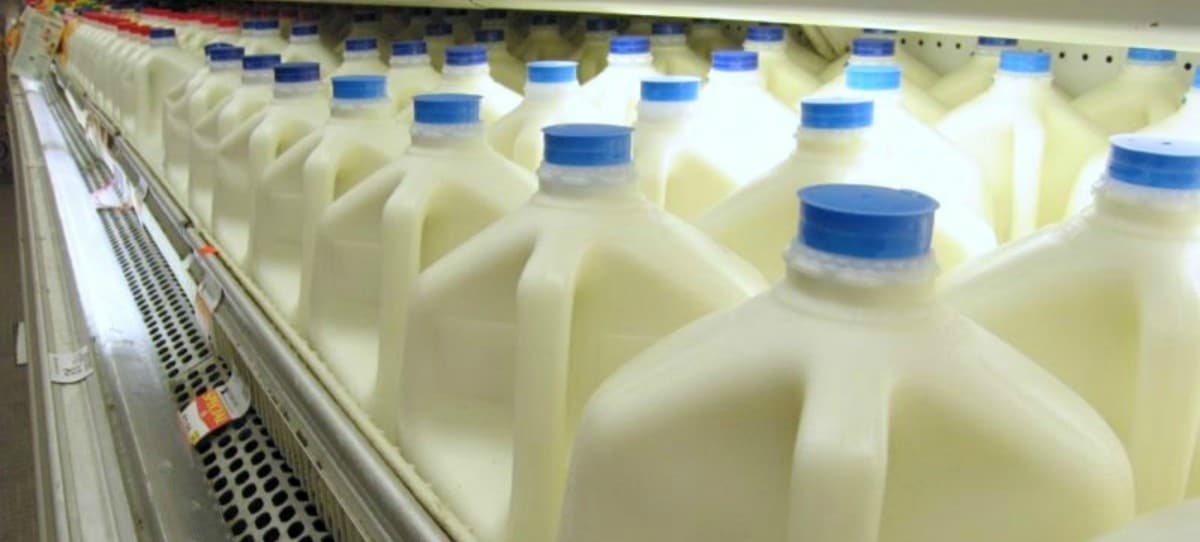 La prohibición de comprar leche a pérdidas, recurrida al Supremo por la patronal láctea