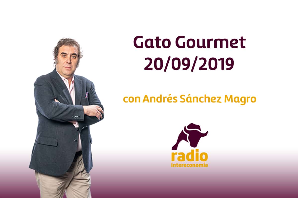 Gato Gourmet 20/09/2019