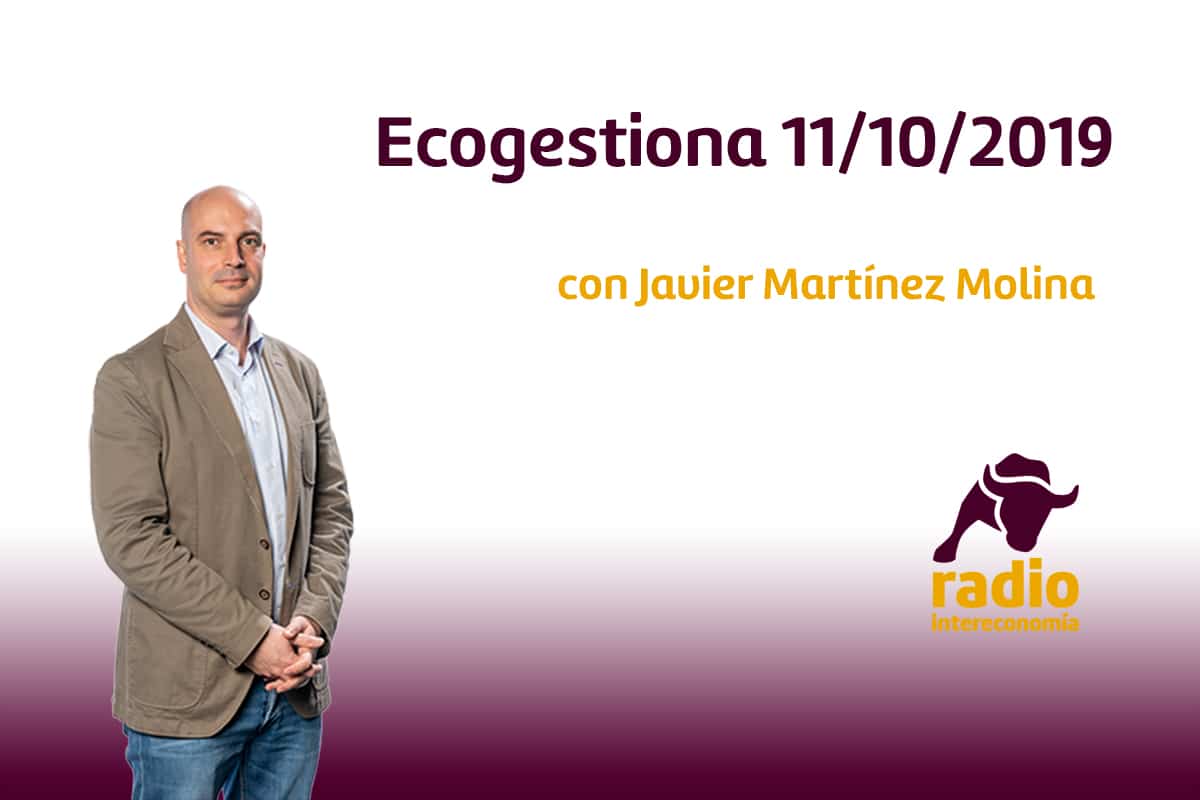 Ecogestiona 11/10/2019