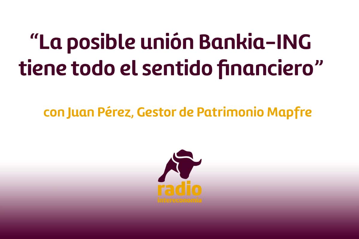 «La posible unión Bankia-ING tiene todo el sentido financiero»