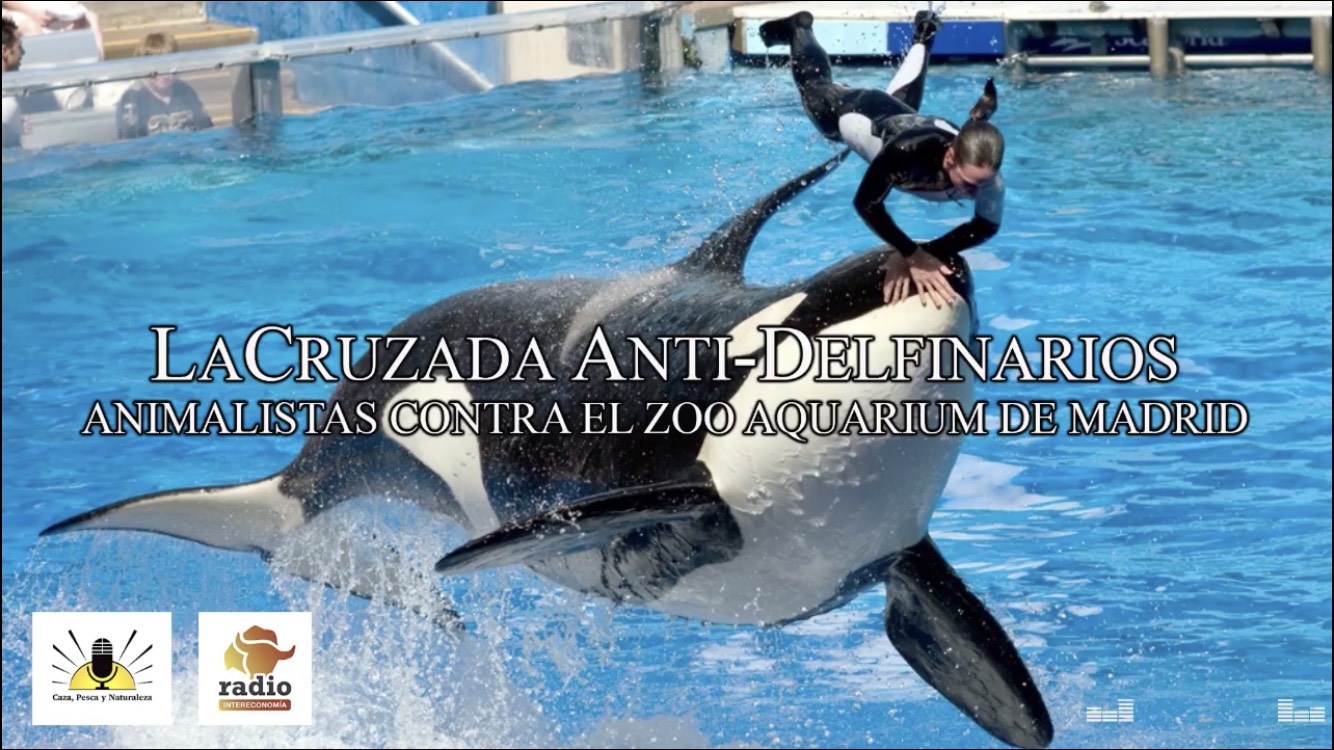 El ‘Zoo Aquarium’ contra los anti-delfín