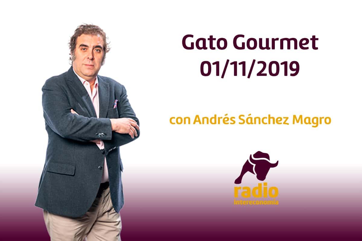 Gato Gourmet 01/11/2019