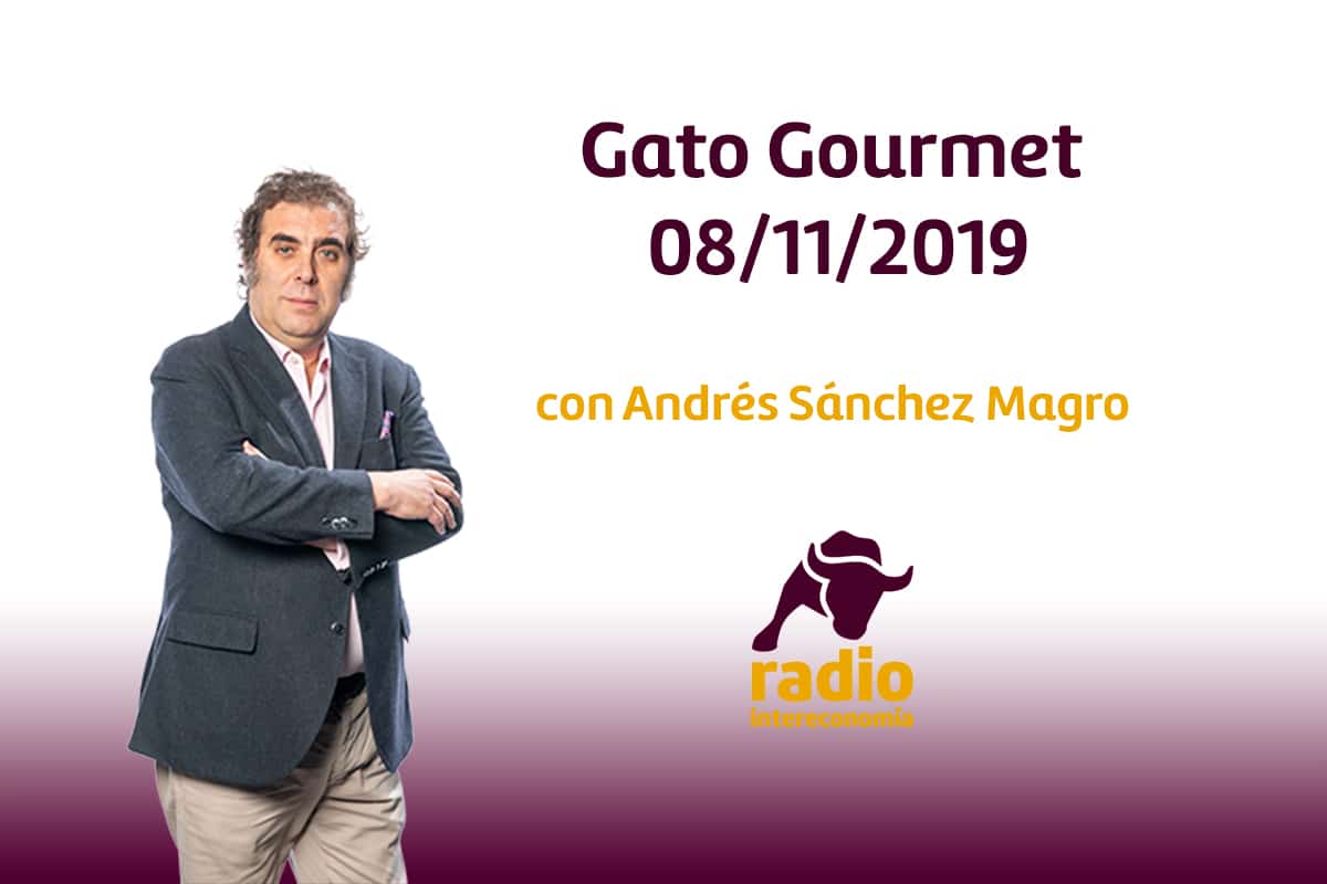 Gato Gourmet 08/11/2019