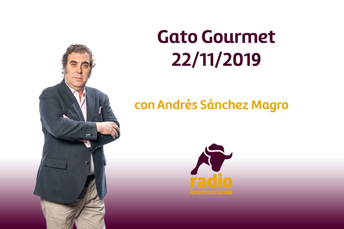 Gato Gourmet 22/11/2019