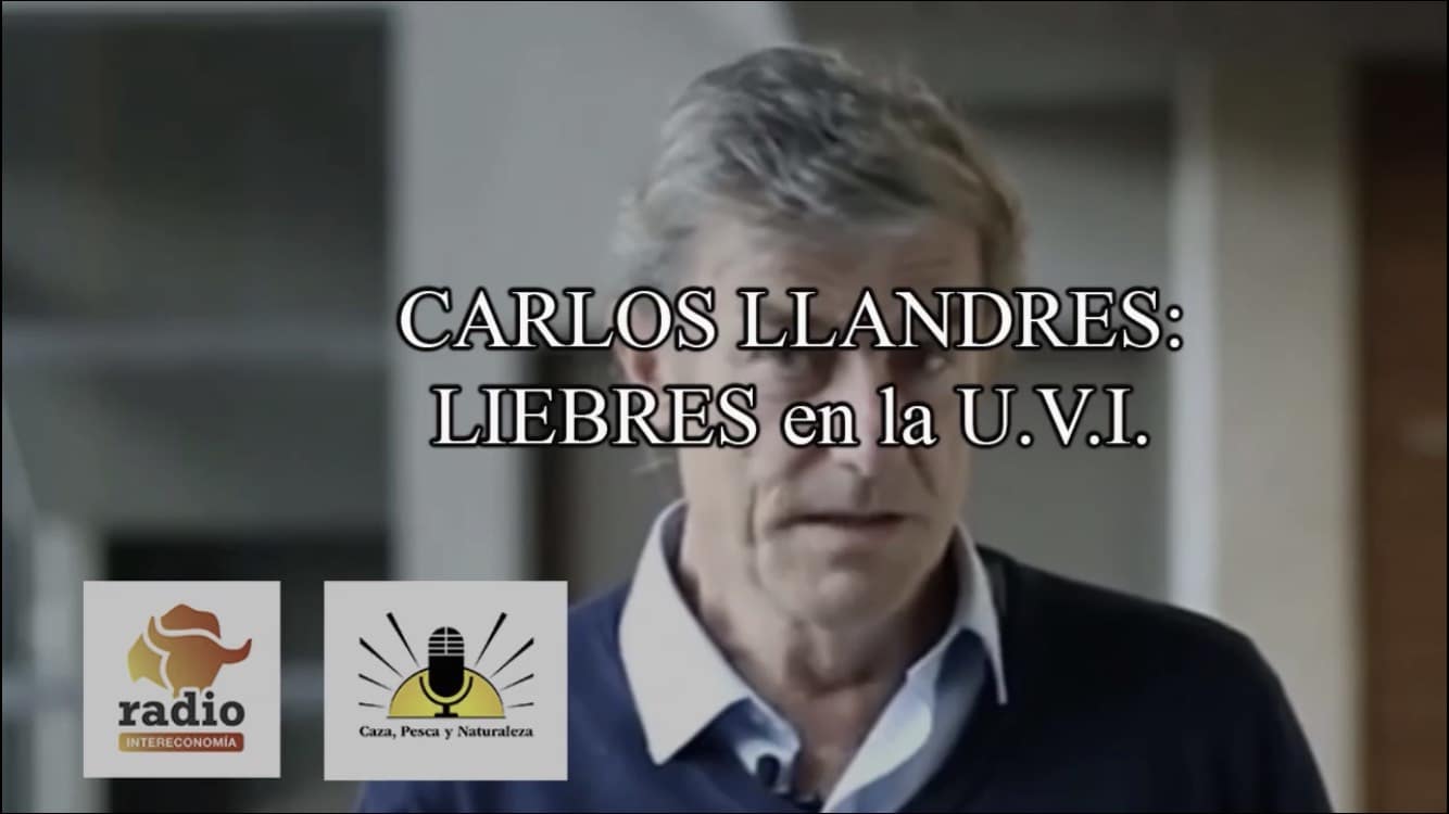 Carlos Llandres: Liebres en la U.V.I