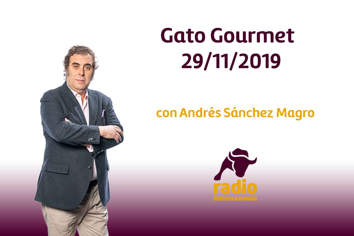 Gato Gourmet 29/11/2019