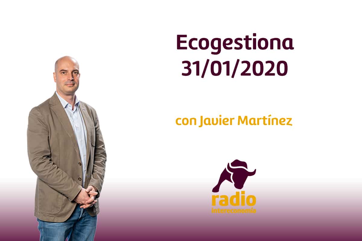 Ecogestiona 31/01/2020