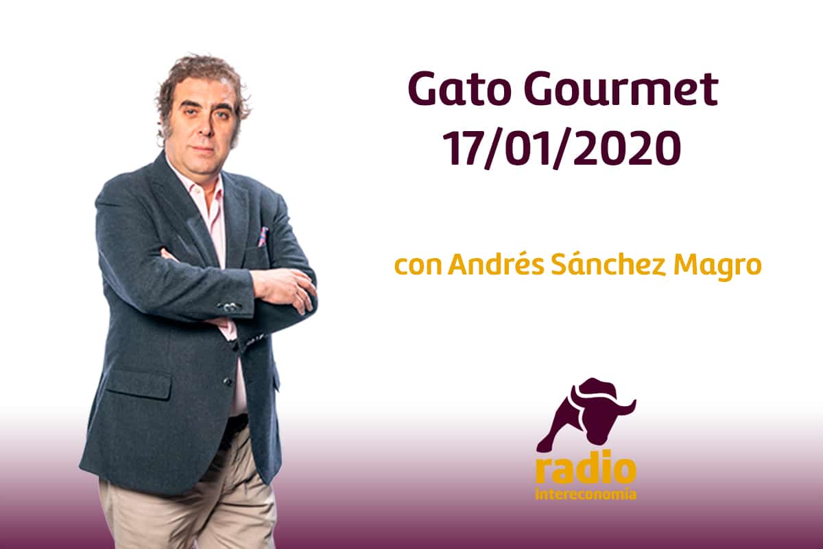 Gato Gourmet 17/01/2020