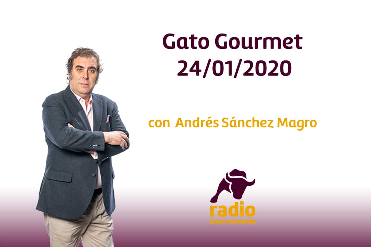 Gato Gourmet 24/01/2020