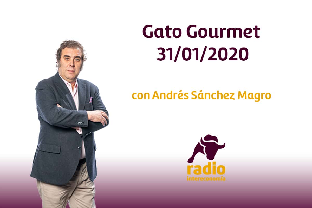 Gato Gourmet 31/01/2020