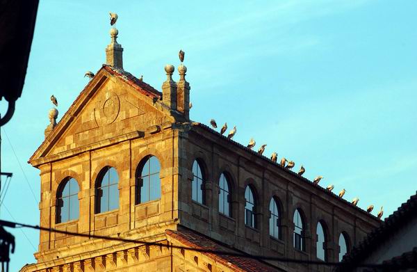 La Universidad Pontificia de Salamanca e Innuba lanzan un máster en Innovación Social