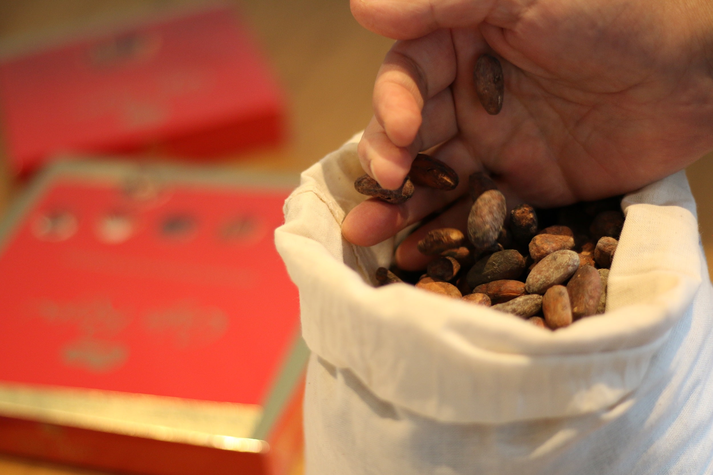 Nestlé utilizará cascarilla de cacao para producir energía verde