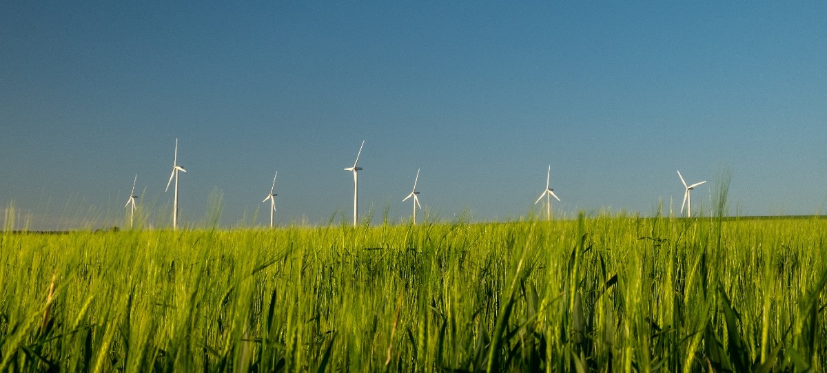 Iberdrola duplicará su capacidad de energía renovable en 2025