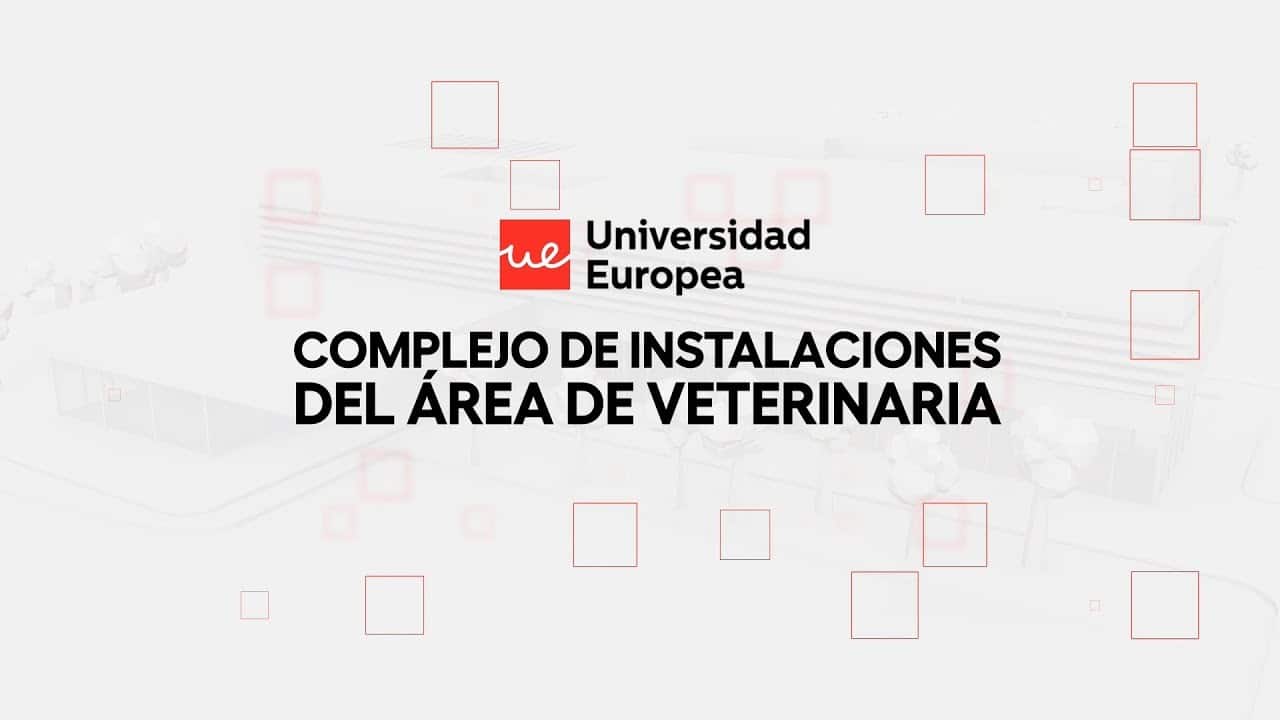 La Universidad Europea crea el primer complejo veterinario simulado de Europa