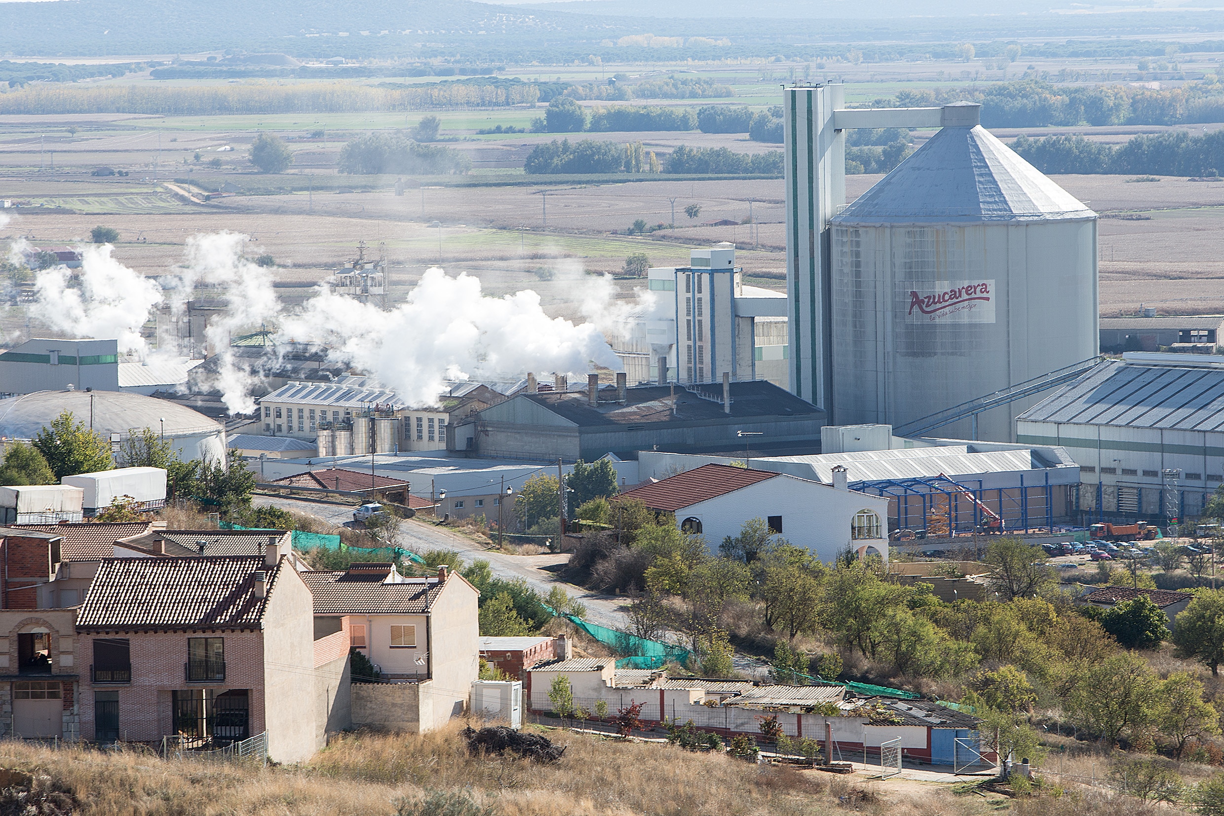 Azucarera de Toro (Zamora) ha recogido esta campaña 396.000 toneladas de remolacha