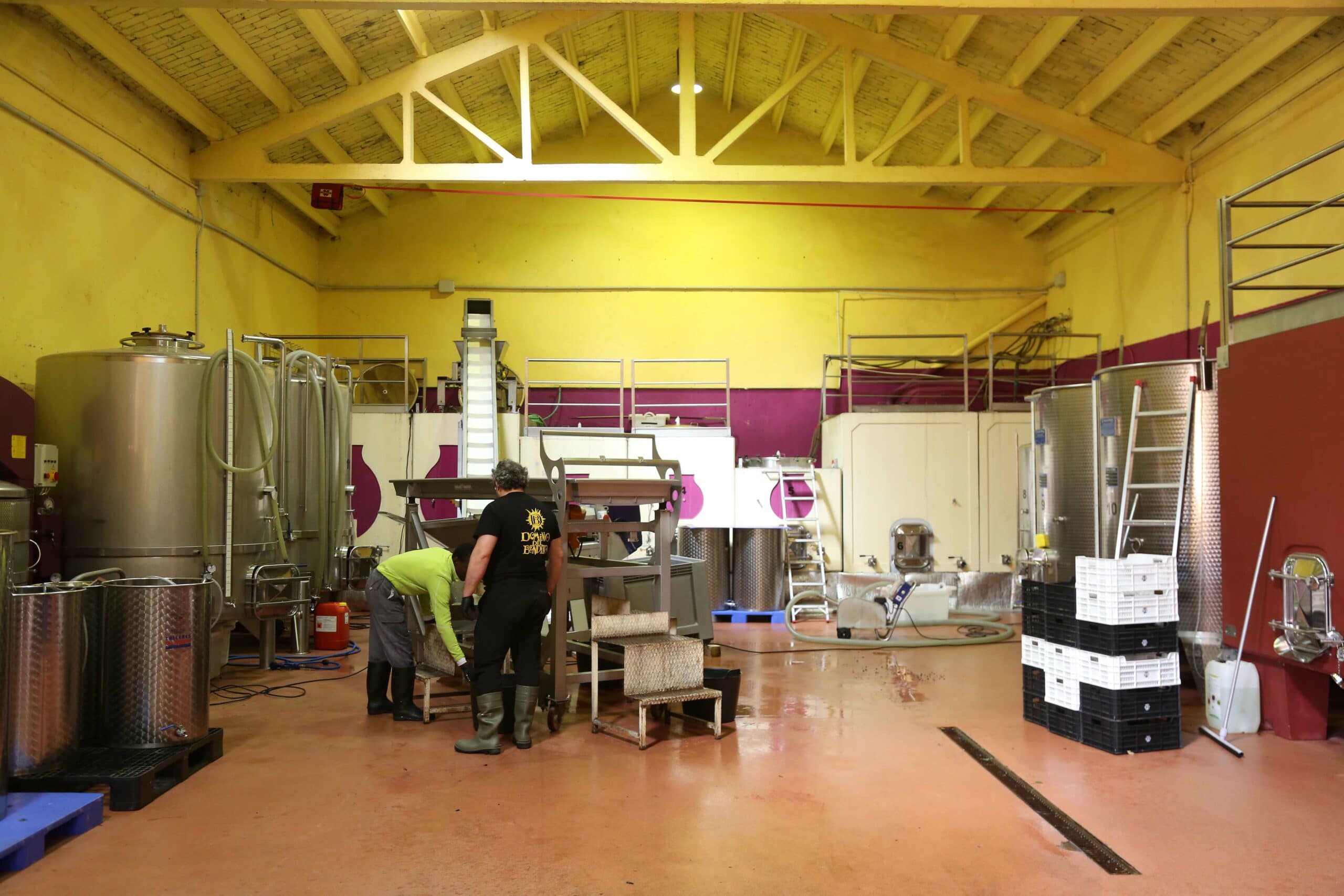 Zamora10 defiende el vino como «esencial» para la economía de la provincia