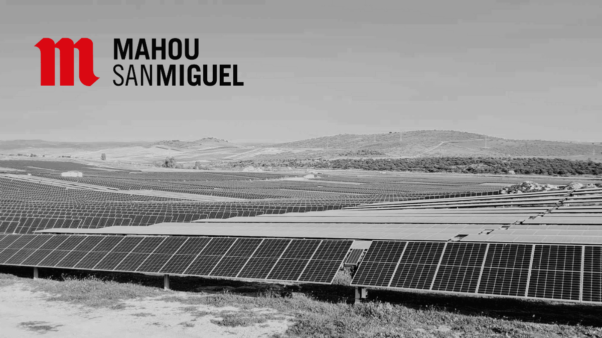 Mahou San Miguel pone en marcha la mayor instalación fotovoltaica del sector cervecero