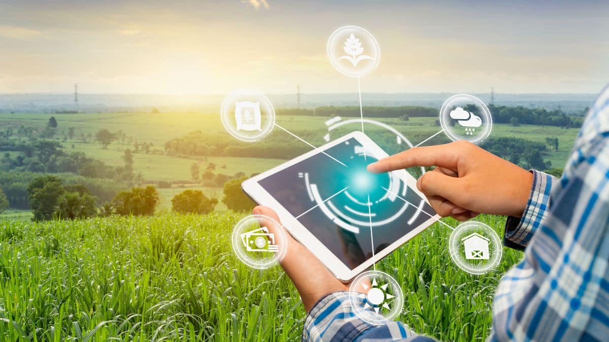 Coca-Cola Europacific Partners desarrollará una tecnología para convertir el CO2 en azúcar