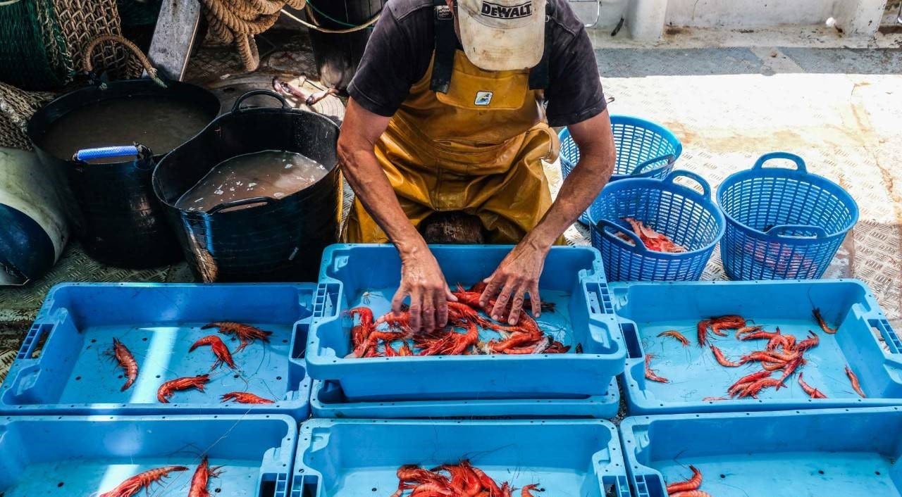 Acuerdo de pesca de la UE: Más merluza y menos gamba roja