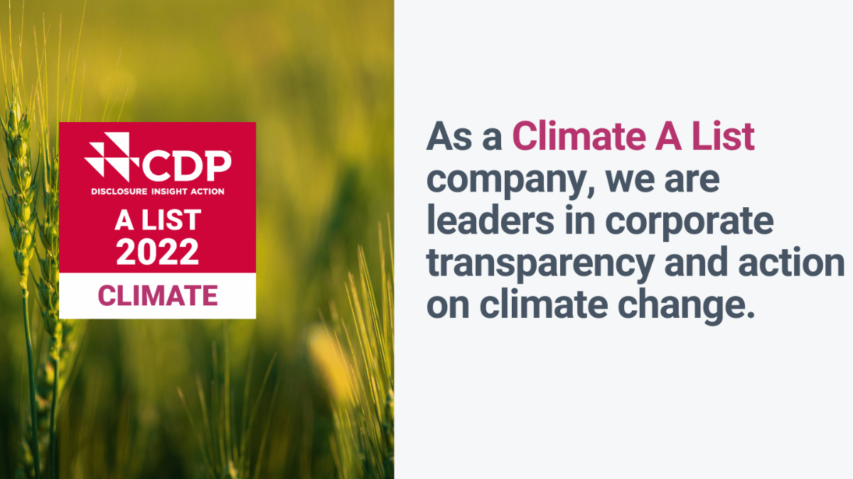 <strong></noscript>SACYR ENTRA A FORMAR PARTE DE LA «LISTA A» DE CDP POR LIDERAR LA LUCHA CONTRA EL CAMBIO CLIMÁTICO</strong>