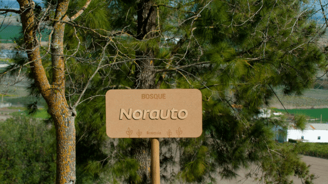 Norauto lidera la lucha contra el cambio climático con el «Bosque Norauto» y su compromiso sostenible